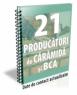 21 de producatori de caramida si BCA 2011