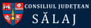 CONSILIUL JUDETEAN SALAJ