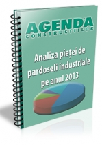 Analiza pietei de pardoseli industriale pe anul 2013