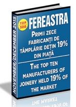 Analiza activitatii firmelor din TOP 500 producatori de tamplarie pe anul 2015