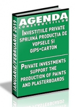 Analiza pietei de lacuri, vopsele si gips-carton pe anul 2019