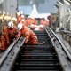 CFR SA are un buget de 11,5 miliarde lei in 2025, dar provocarile financiare persista
