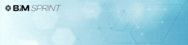 BIM SPRINT
