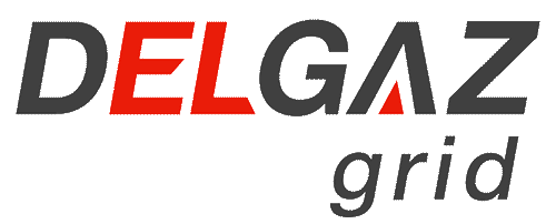 DELGAZ GRID