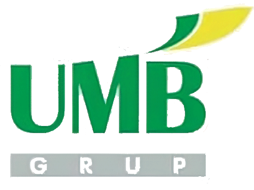 UMB GRUP BACĂU - SPEDITION UMB, TEHNOSTRADE, SA&PE CONSTRUCT