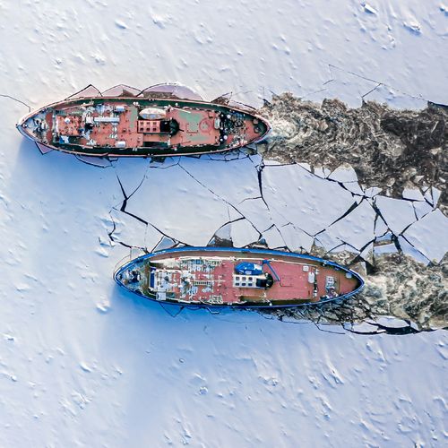 28_04_analiza-coface-comert-mondial_1