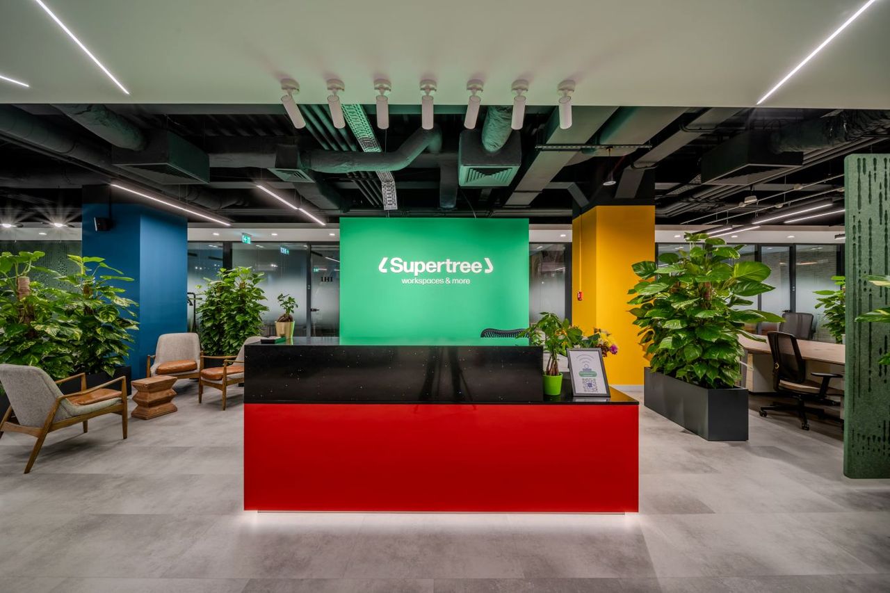 11_02_gianina-craciun-coworking-romania_3