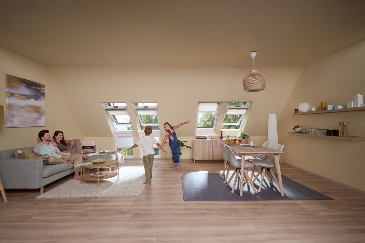 31_03_ferestre_mansarda_electrice-3