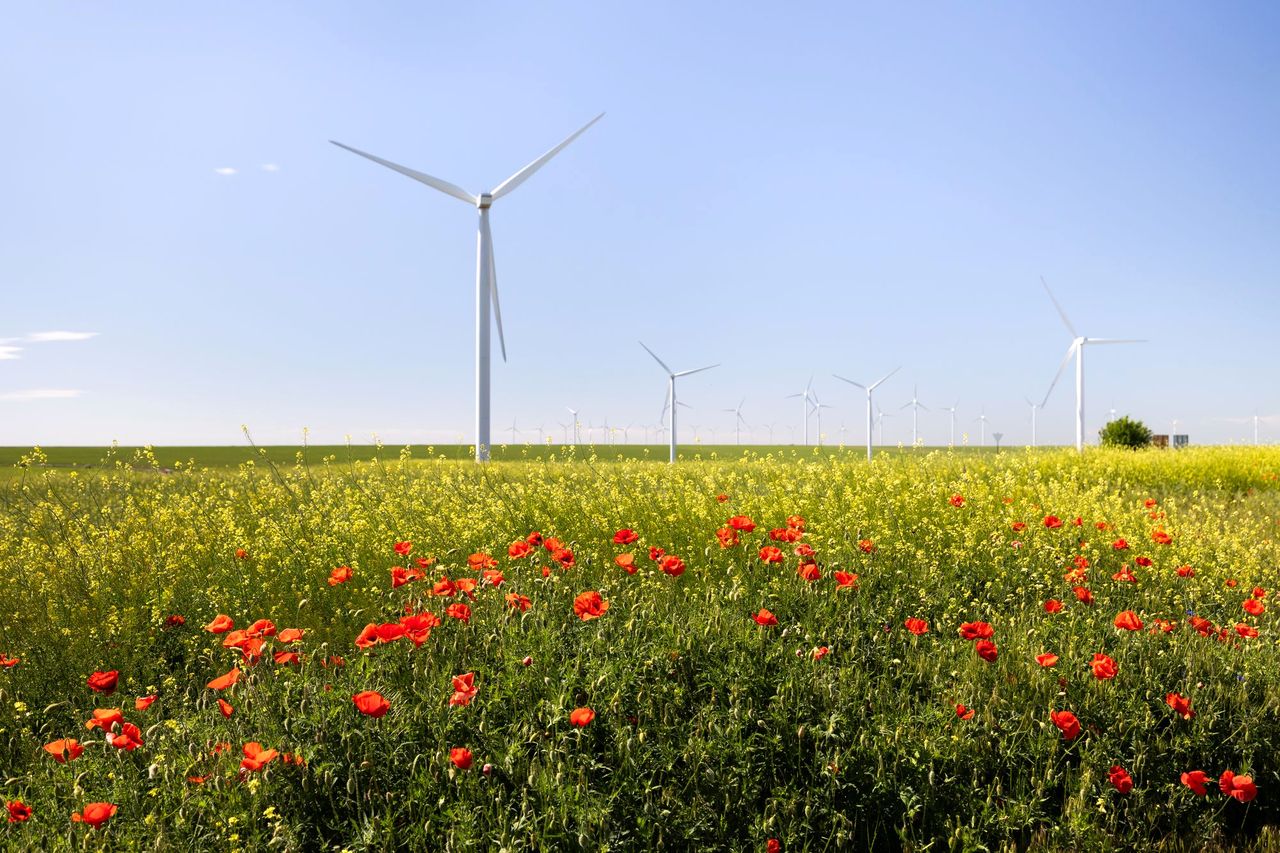 02_09_engie-romania-energie-regenerabila_3