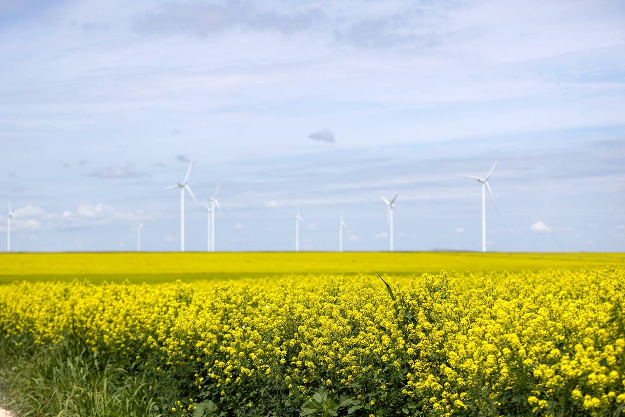 02_09_engie-romania-energie-regenerabila_4