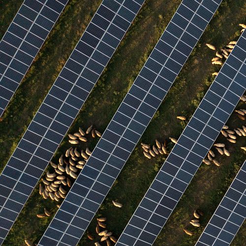 06_03_enery-proiect-ogrezeni_1