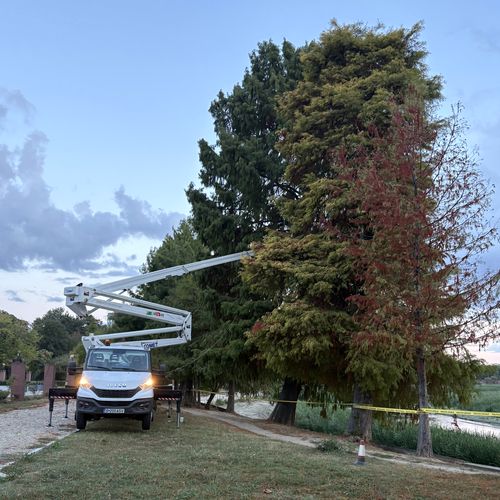 PMB adaptează proiectul de consolidare a malurilor Herăstrău după evaluarea a 1.844 de arbori