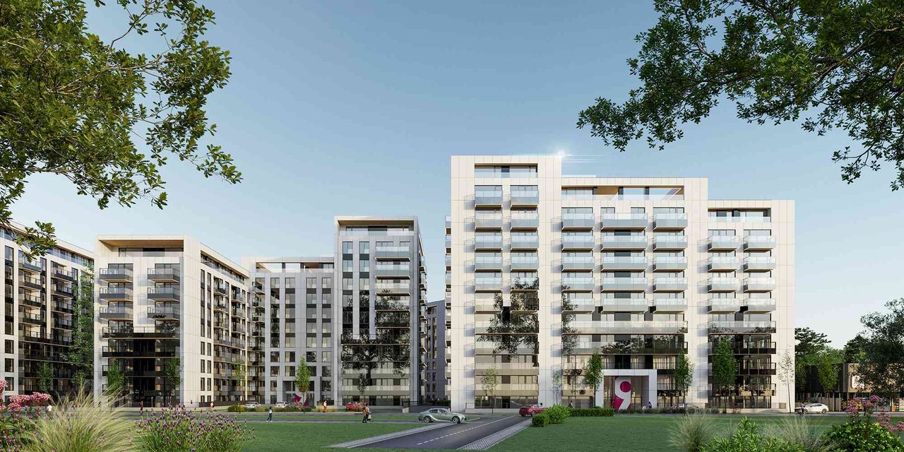 10_02_radu-grigorescu-cloud9-evolution_3