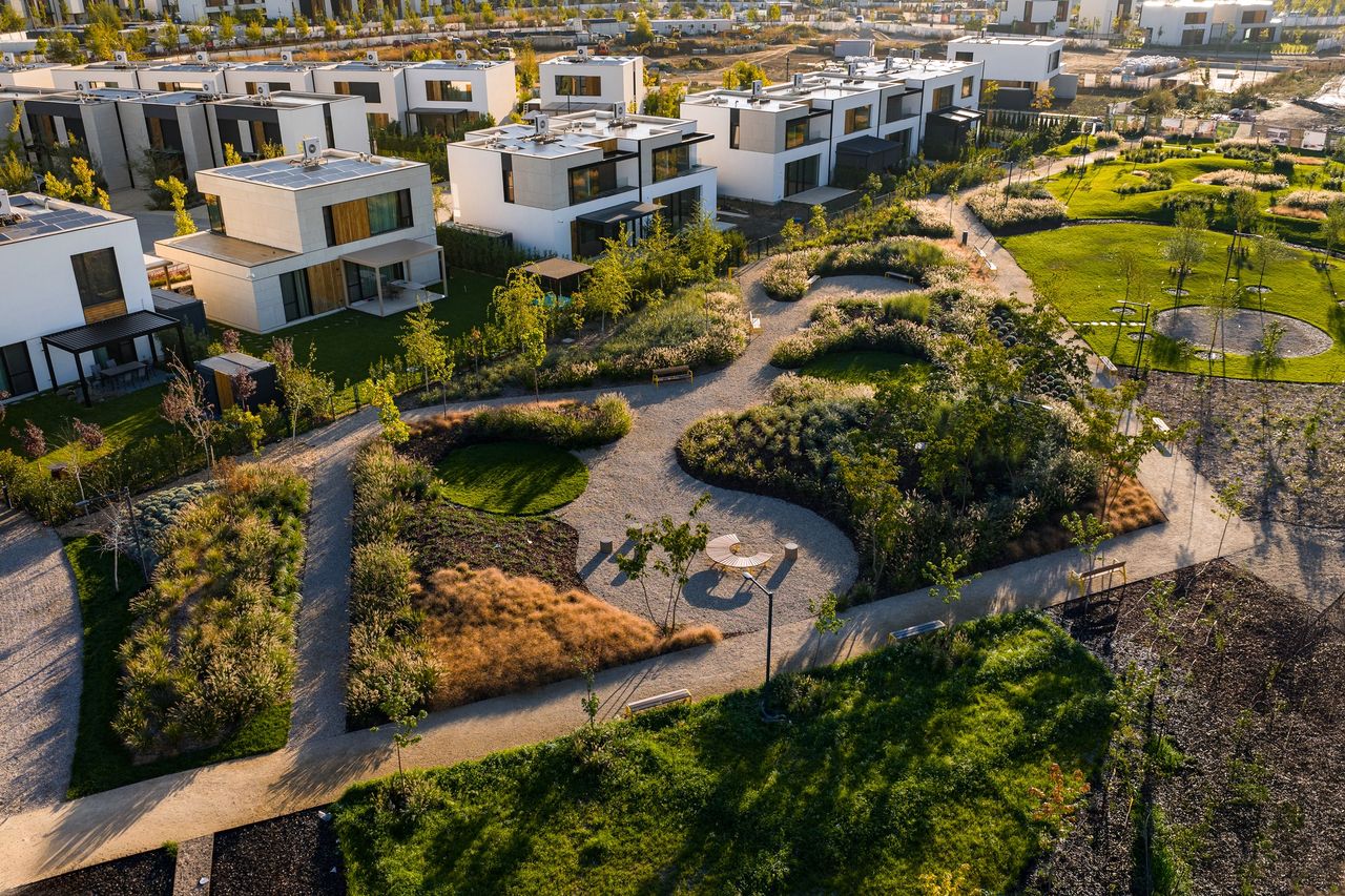 12_02_leonidas-anastasopoulos-alesonor-amber-forest-tunari_2