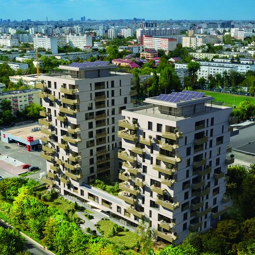 Optim Project Management susține Mulberry în dezvoltarea noului proiect Palladyo