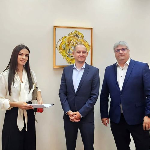 STRABAG a câștigat contractul pentru parcul fotovoltaic de la Aeroportul Iași 